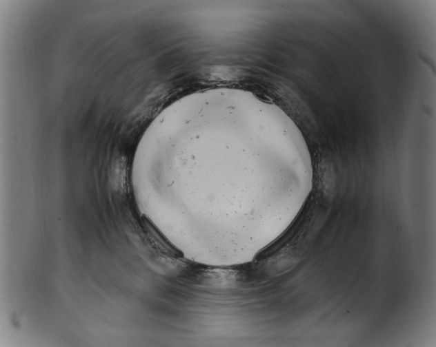 X0000100880328200807111349