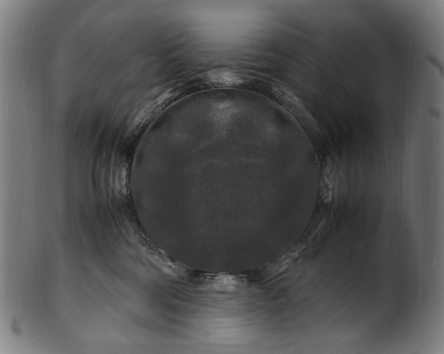 X0000100880330200807111349