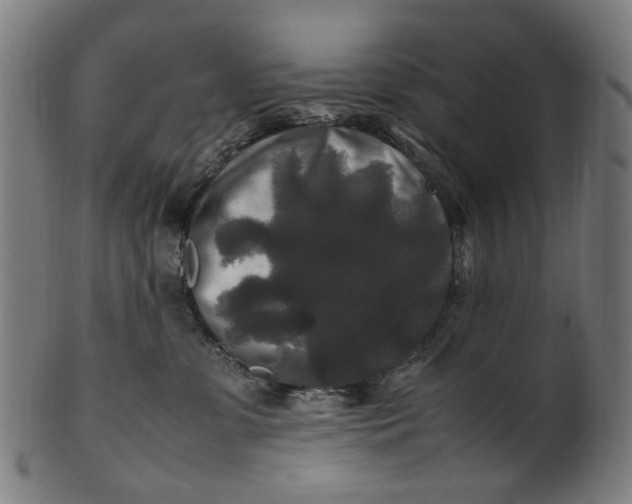 X0000100880331200807111349