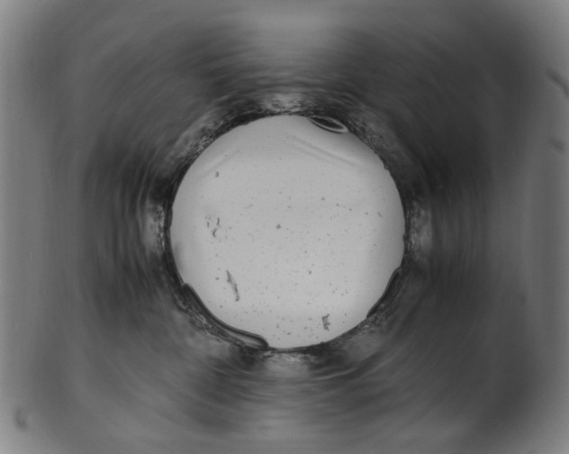 X0000100880332200807111349