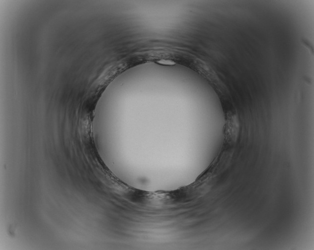 X0000100880333200807111349