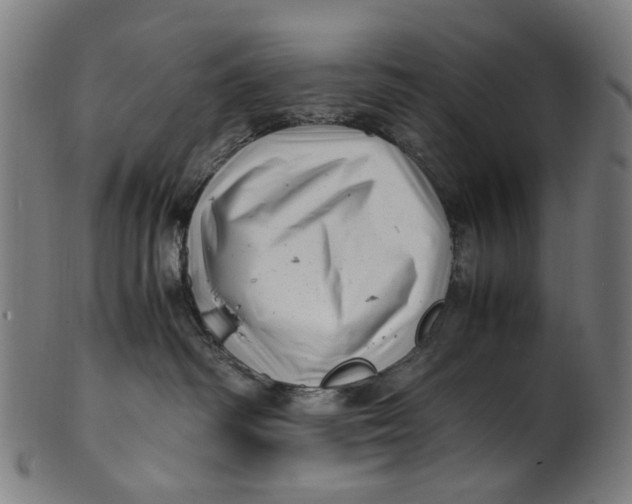 X0000100880334200807111349