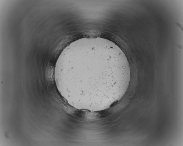 X0000100880336200807111349