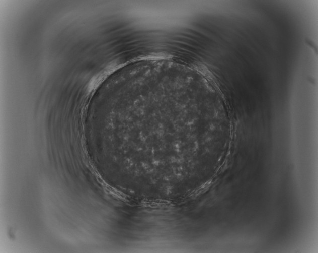 X0000100880337200807111348