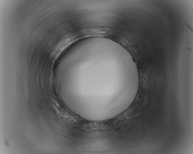 X0000100880338200807111348