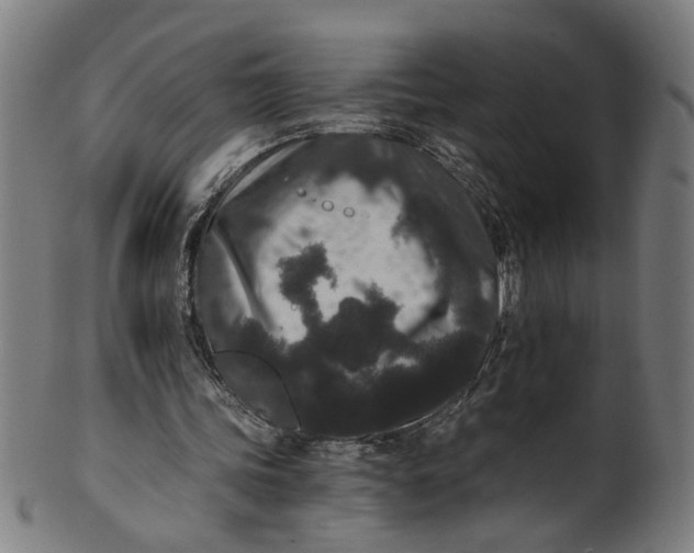 X0000100880339200807111348