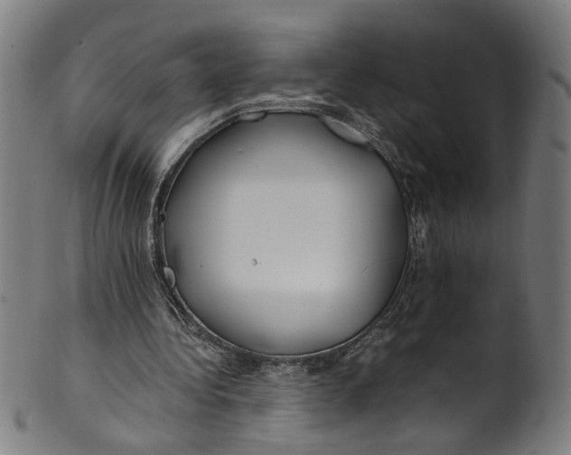 X0000100880340200807111348