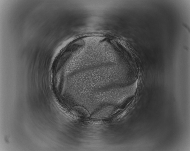 X0000100880342200807111348