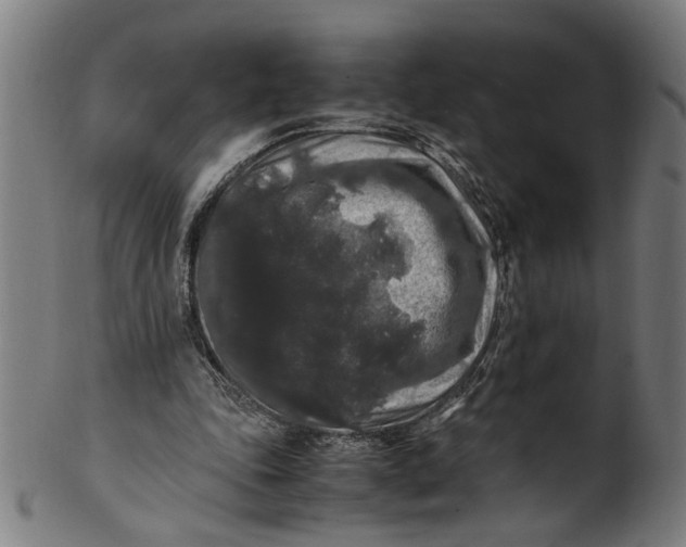 X0000100880343200807111348