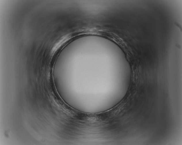 X0000100880344200807111348