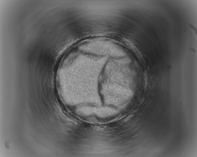 X0000100880346200807111348