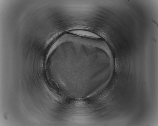 X0000100880348200807111348