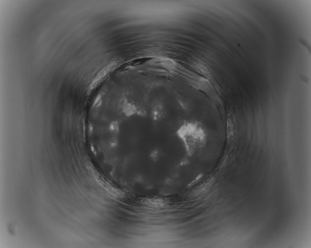 X0000100880349200807111348