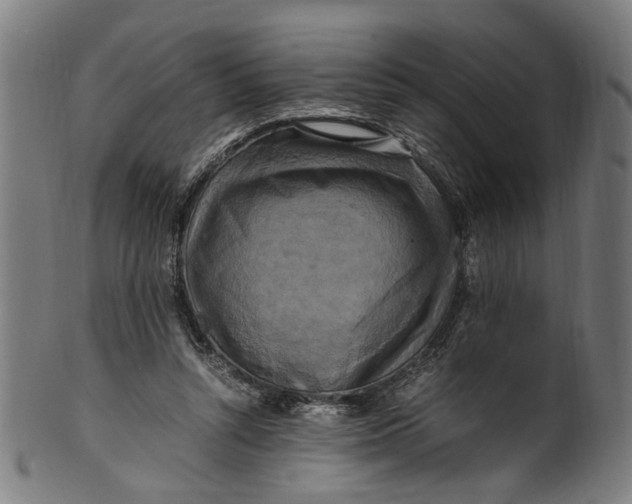 X0000100880352200807111348