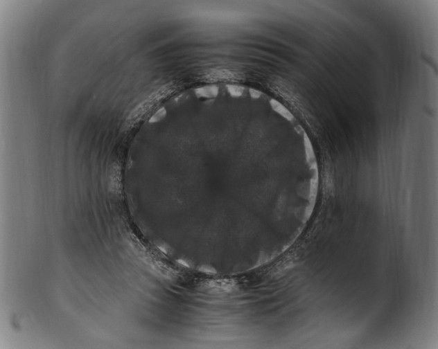 X0000100880353200807111348