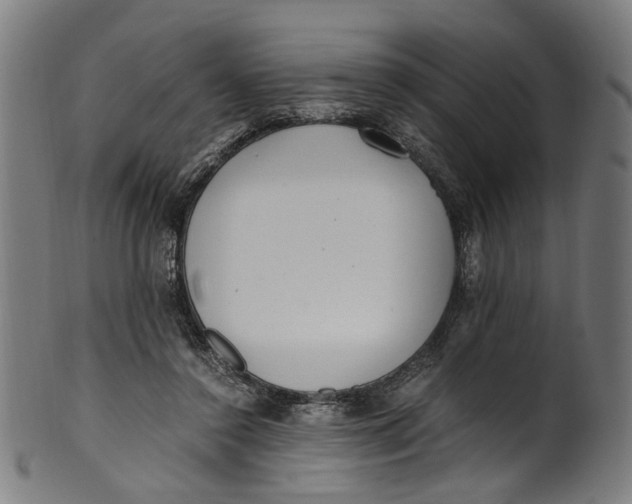 X0000100880356200807111348