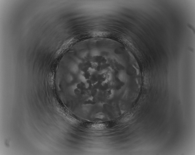 X0000100880357200807111348