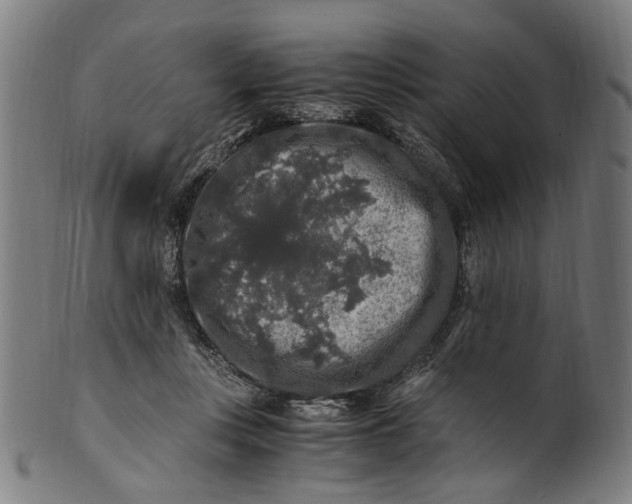 X0000100880359200807111348