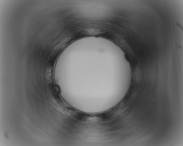 X0000100880360200807111348