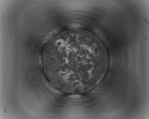 X0000100880361200807111348