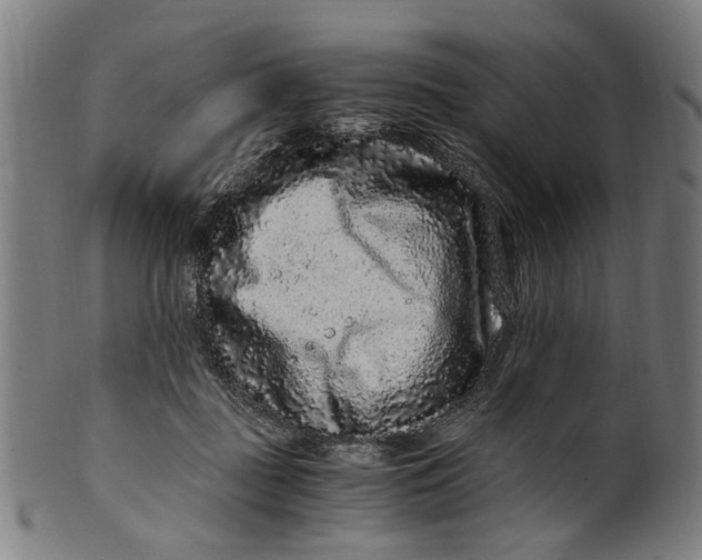 X0000100880363200807111348