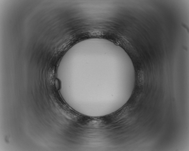 X0000100880364200807111348