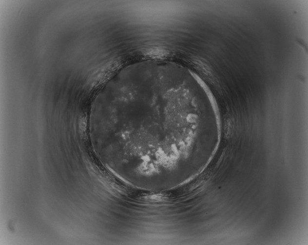 X0000100880365200807111348