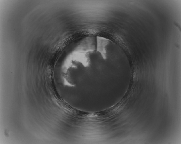 X0000100880366200807111348