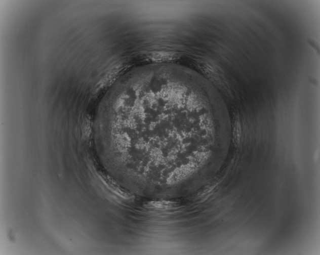 X0000100880367200807111348