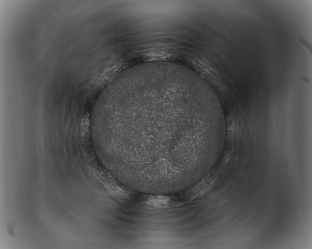 X0000100880369200807111348