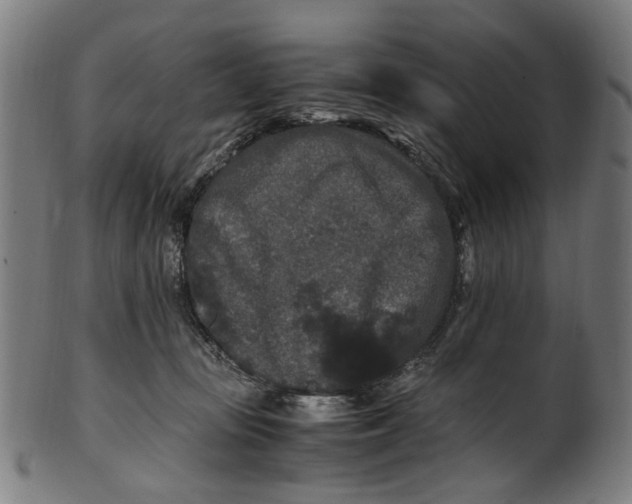 X0000100880371200807111349