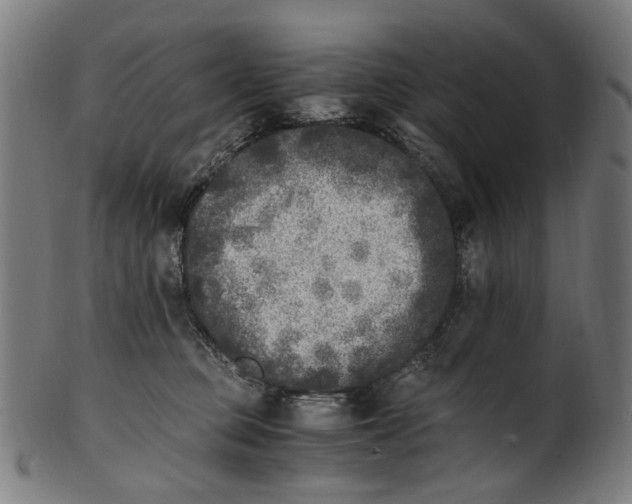 X0000100880373200807111349