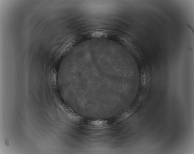 X0000100880375200807111349