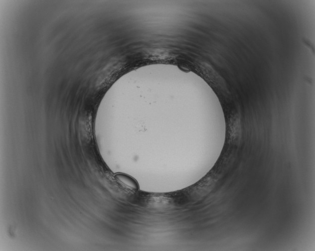 X0000100880376200807111349