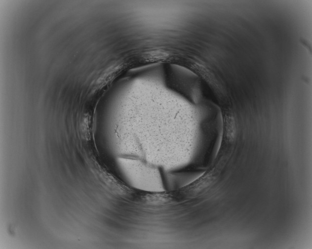 X0000100880378200807111349