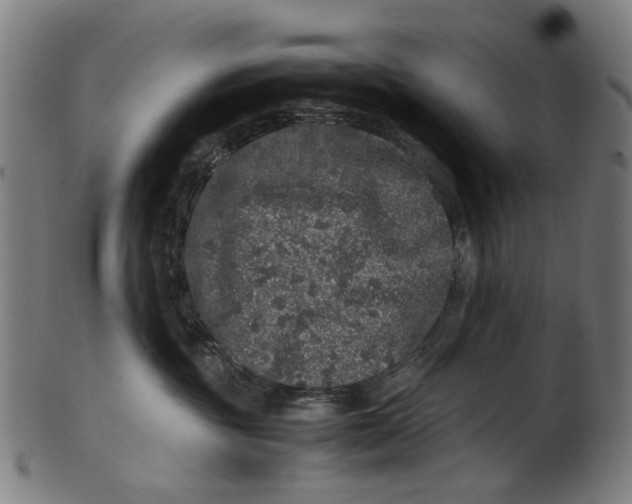 X0000100880381200807111349