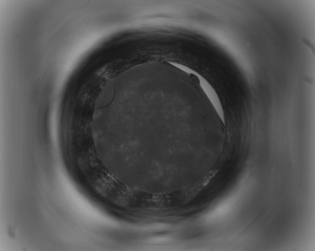 X0000100880383200807111349