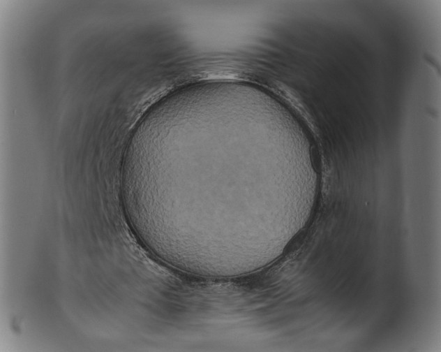 X0000100880385200807111348