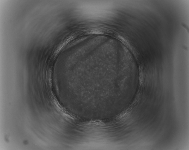 X0000100880386200807111348