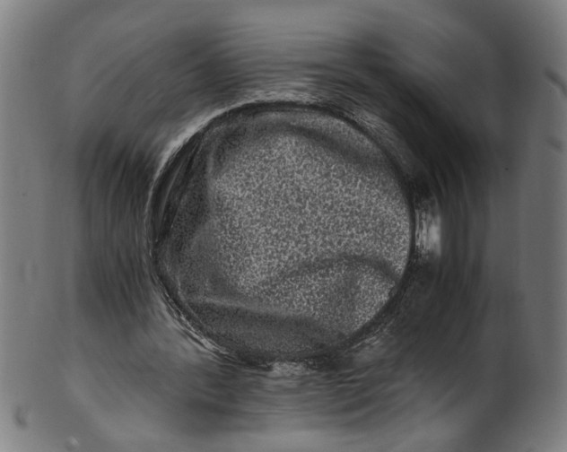 X0000100880388200807111348