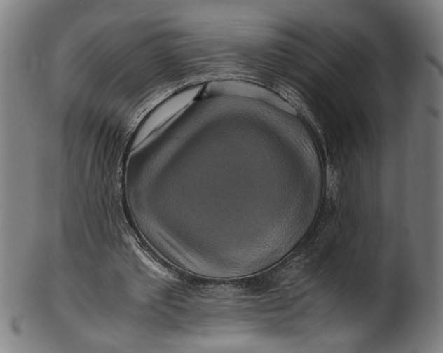 X0000100880389200807111348