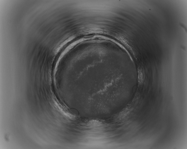 X0000100880390200807111348