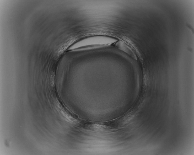 X0000100880393200807111348