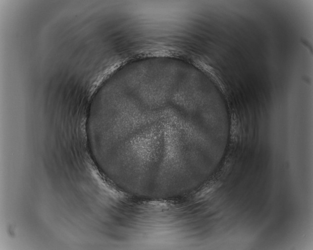 X0000100880394200807111348