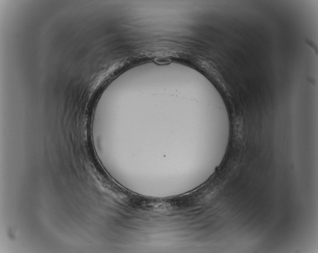 X0000100880395200807111348