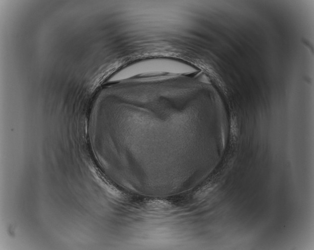 X0000100880397200807111348