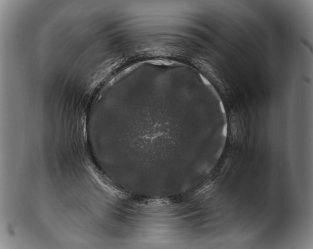 X0000100880398200807111348