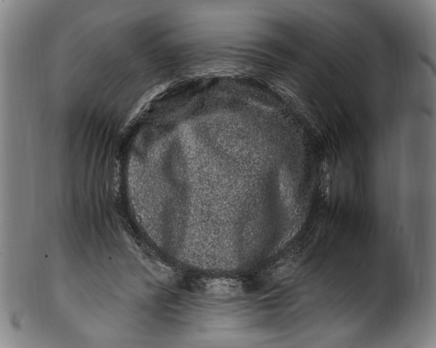 X0000100880400200807111348