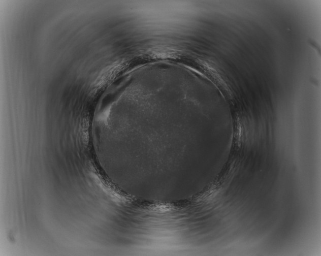 X0000100880402200807111348