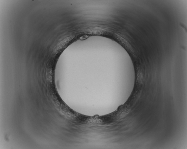 X0000100880403200807111348